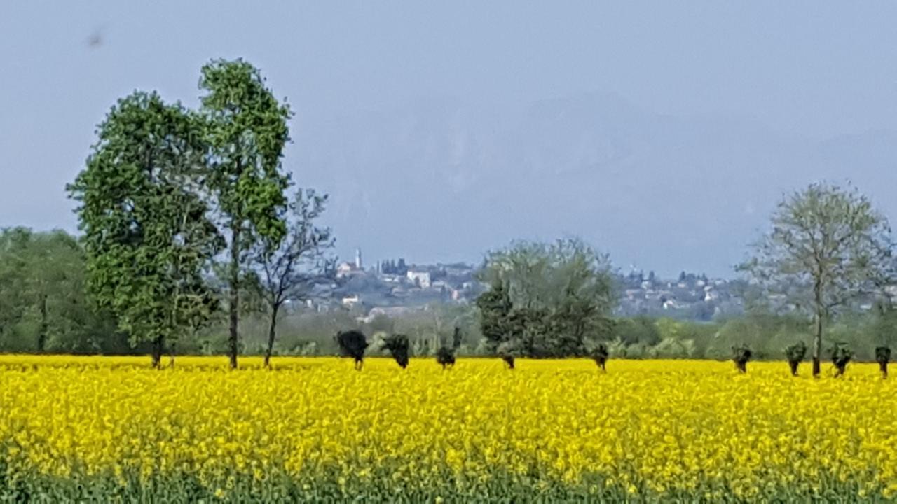 Altebas Bed & Breakfast Nogaredo di Prato Екстериор снимка